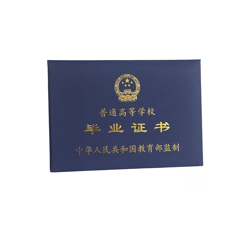 公司团队展示